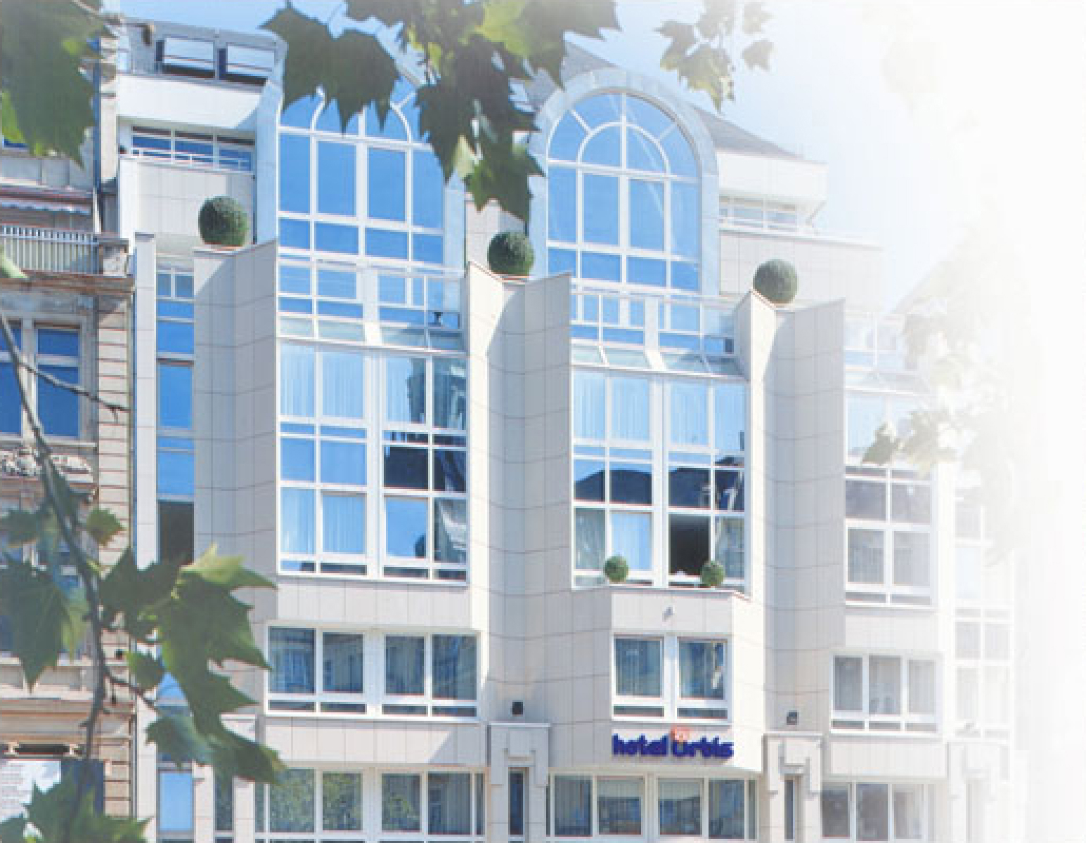 Descripción de la imagen 10